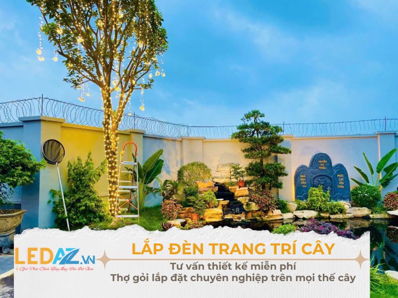 Lắp Đèn Trang Trí Cây Lắp đèn trang trí cây