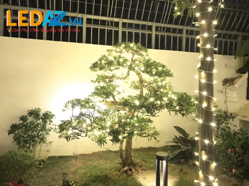 Trang Trí Đèn Sân Vườn lap den trang tri cay 4