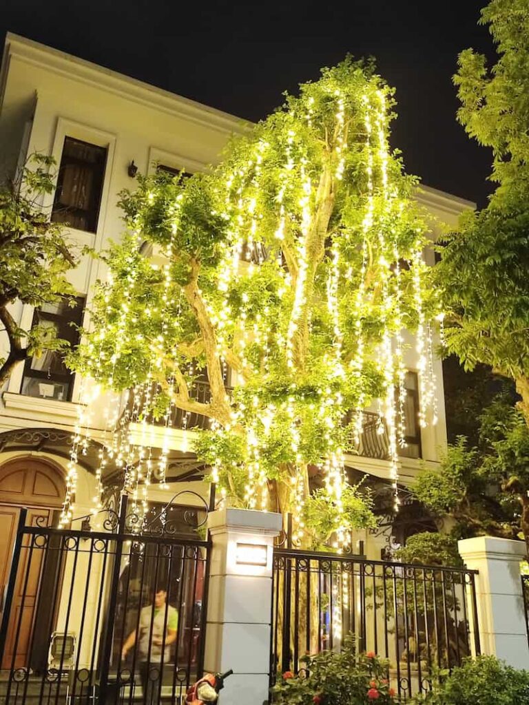 Lắp Đèn Trang Trí Cây thi công đèn led cây