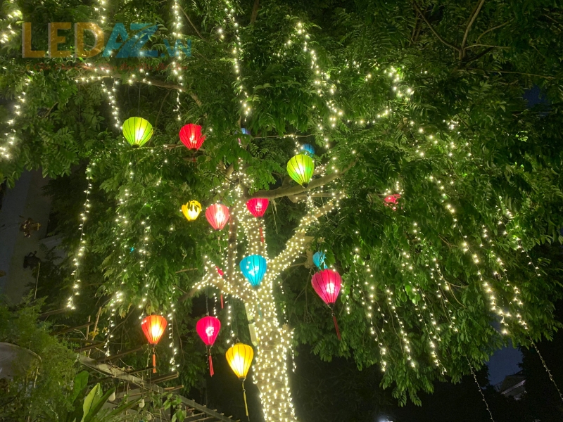 Lắp Đèn Trang Trí Cây trang tri den cho cay xanh 1