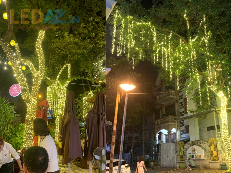 Lắp Đèn Trang Trí Cây trang tri den cho cay xanh 6