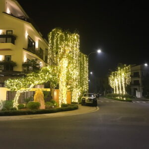 Lắp đèn led cây