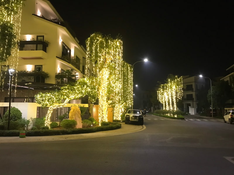 trang tri den led cay canh